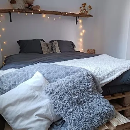 T2 Ultra Cosy En Hypercentre Appartement Tarare Buitenkant foto