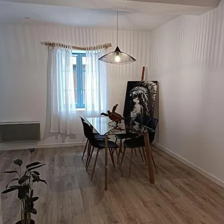 T2 Ultra Cosy En Hypercentre Appartement Tarare Buitenkant foto