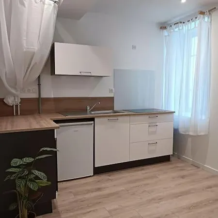 T2 Ultra Cosy En Hypercentre Appartement Tarare Buitenkant foto