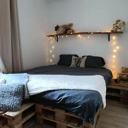 T2 Ultra Cosy En Hypercentre Appartement Tarare Buitenkant foto
